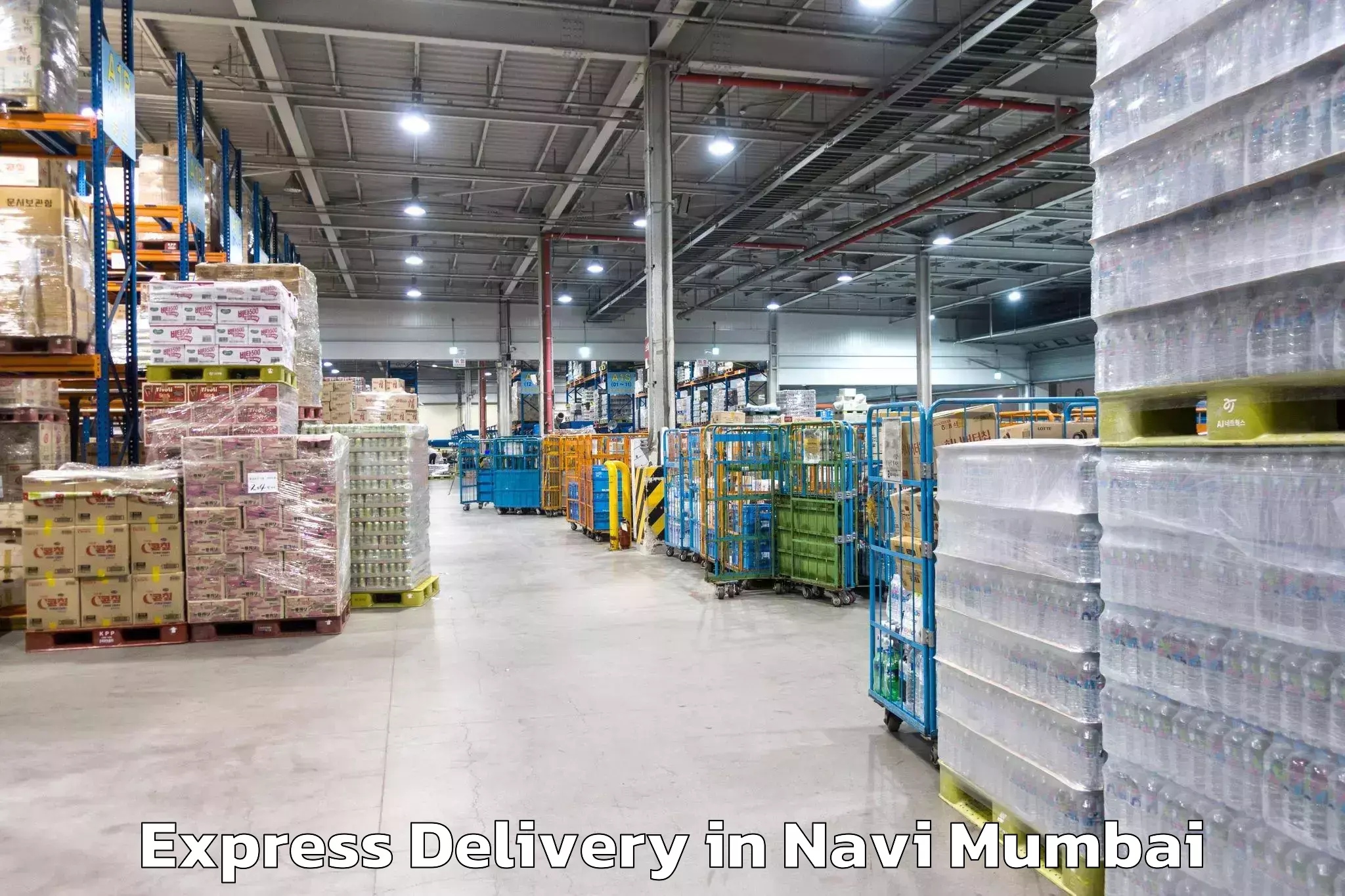 Professional Express Delivery in Navi Mumbai, Maharashtra (MH)